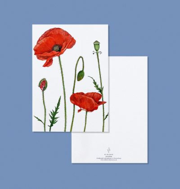 Produktfoto zu Postkarte Mohnblüte