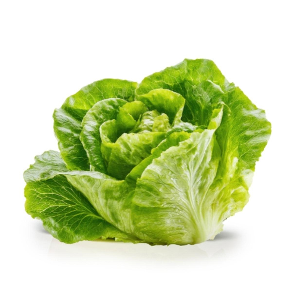 Produktfoto zu Romanasalat