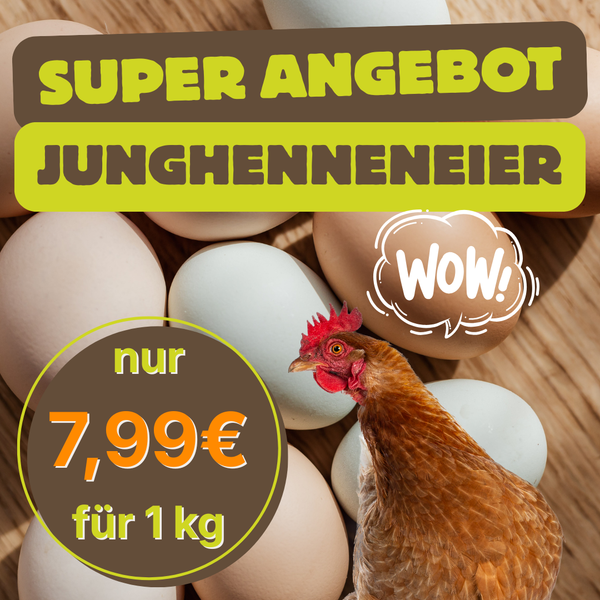 KI generiert: Ein Super-Angebot für Junghenneneier für 7,99 € pro kg mit einem Huhn und Eiern im Hintergrund.