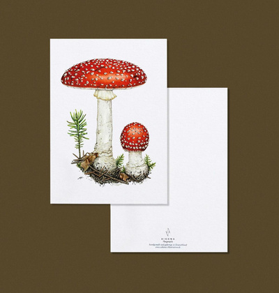 Produktfoto zu Postkarte Fliegenpilz