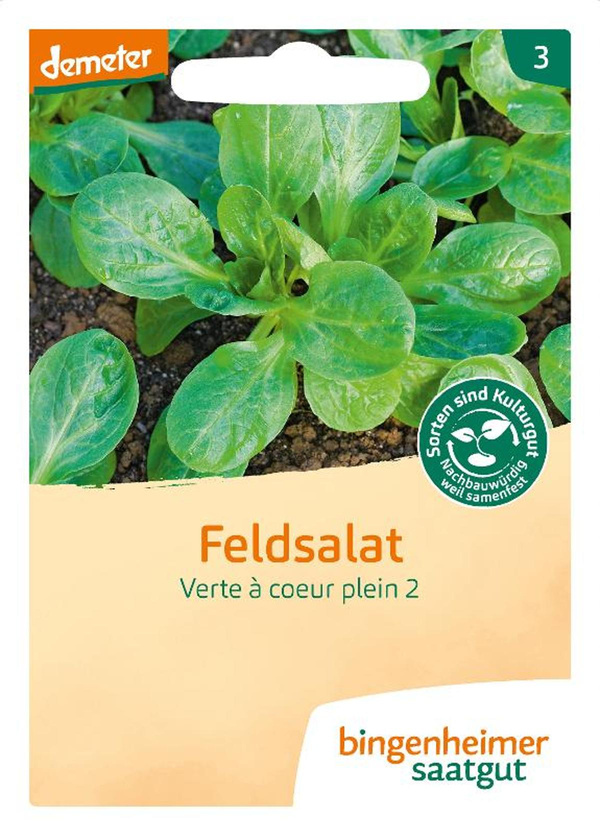 Produktfoto zu Saatgut Feldsalat "Verte à coeur plein 2"
