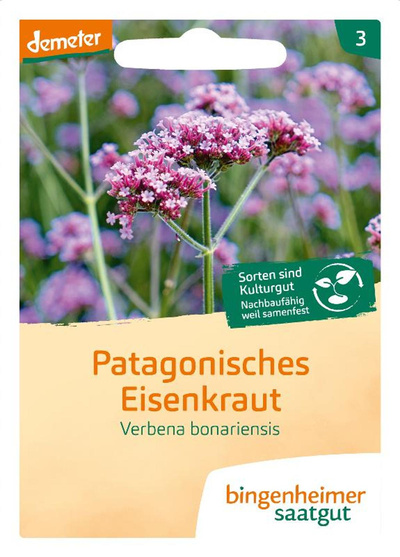 Produktfoto zu Saatgut Patagonisches Eisenkraut