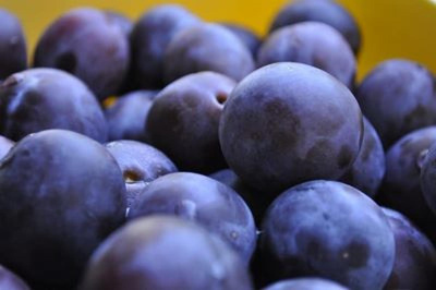 Produktfoto zu Pflaumen blau