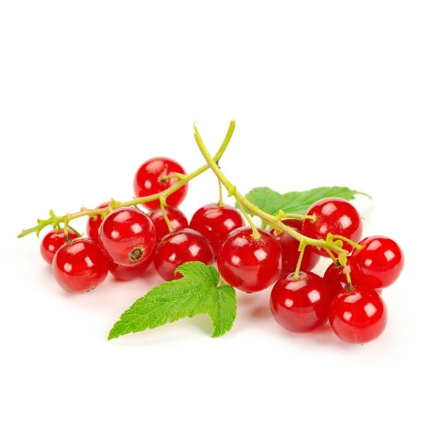 Produktfoto zu Johannisbeeren rot 250 g