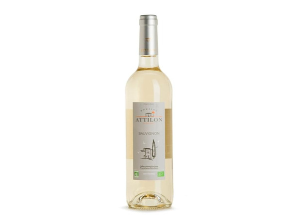 Produktfoto zu Sauvignon Blanc Domaine de L'Attilon 0,75L
