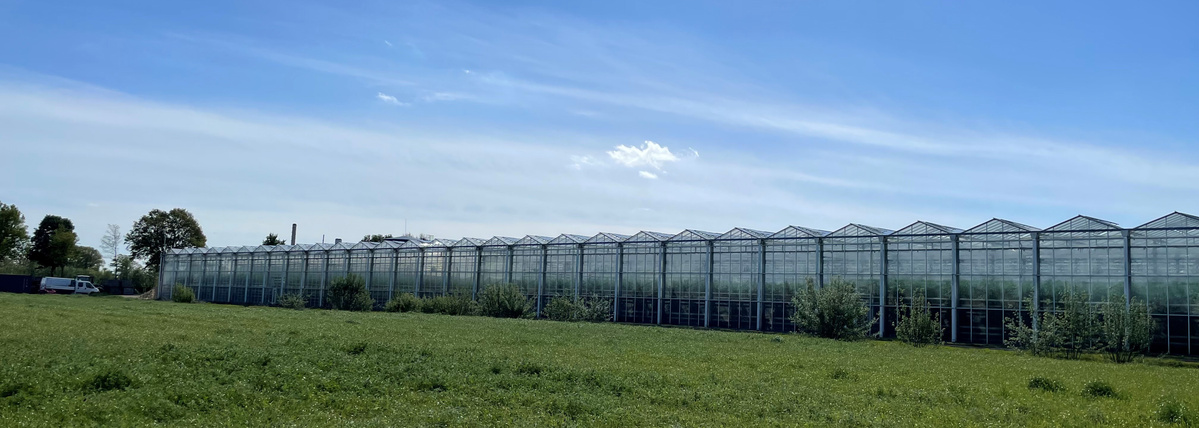 KI generiert: Ein großes Gewächshaus neben einer grünen Wiese unter blauem Himmel.