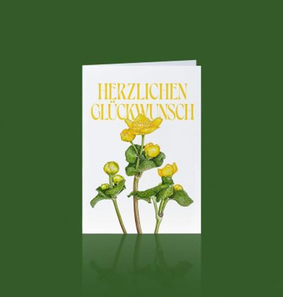Produktfoto zu Grußkarte Sumpfdotterblume