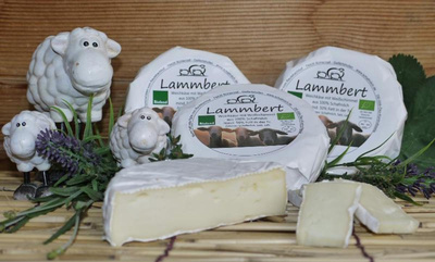 Produktfoto zu Lammbert Schaf Weichkäse ca. 250g