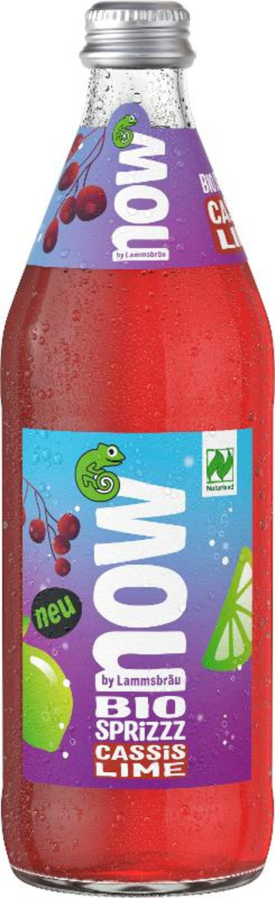 Produktfoto zu now Spritzz Cassis Lime Kiste 10*0,5L