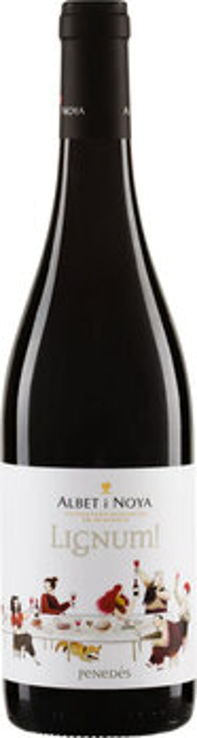 Produktfoto zu Lignum! Negre Penedès D.O. rot 0,75L